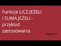 Cognity Kurs Excel - Samouczek - Funkcje LICZ.JEŻELI ...