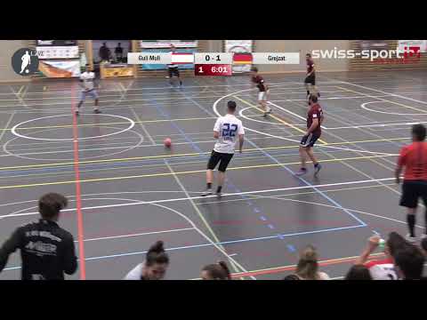 IMSC Day 2017 Zwischengruppe S Gejzat   Guli Muli