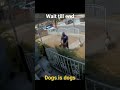 Dog bite a pizza man