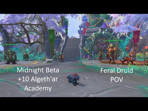 +10 Algeth'ar Academy Haranir Feral Druid POV | WoW Midnight M+ 12.0 Beta