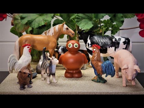 Babblarna - Gissa vilket djur med Babba