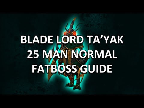 Blade Lord Ta'yak 25 Man Normal Heart of Fear Guide - FATBOSS