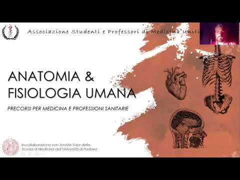 Lezione di Anatomia 01 - Il Cranio e i Muscoli di Testa e Collo - Dott. Michele Nicoletti