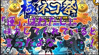 ［にゃんこ大戦争］極ネコ祭１２回ガチャ