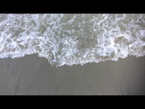 Francisca Griffin - Ghost Boy (Music Video)