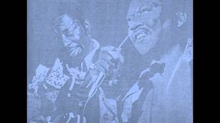 B.B. King &amp; Bobby &#39;Blue&#39; Bland - I&#39;ll Take Care of You