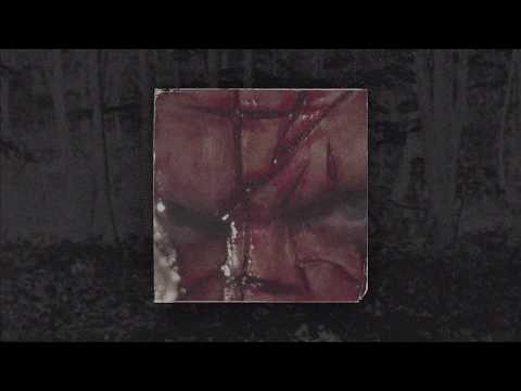 Fle$h Evta - Back For More Ft. Apoc Krysis (Prod. Apoc Krysis)