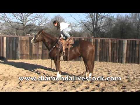 Dual Doc Peppy Clyde