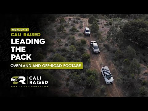 Cali Raised LED - Leading the Pack - Video Shoot