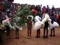 Lesotho Dancing