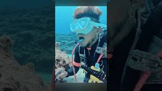 Cleaner Fish: Nature’s Tiny Barbers and the Underwater Economy of Trust