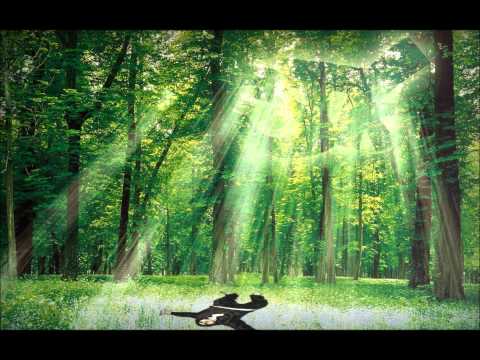 3TK - Δώσε Σημασία