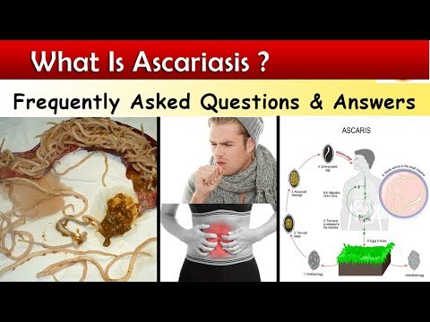 Aszcariasis kialakulása. Enterobiasis Ahol az ascaris parazitál Az Ascaris parazitálja a testet