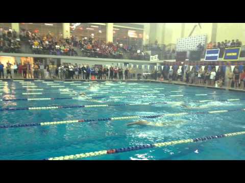 S&D: Men's 500 Free Final - 2015 Landmark Championships