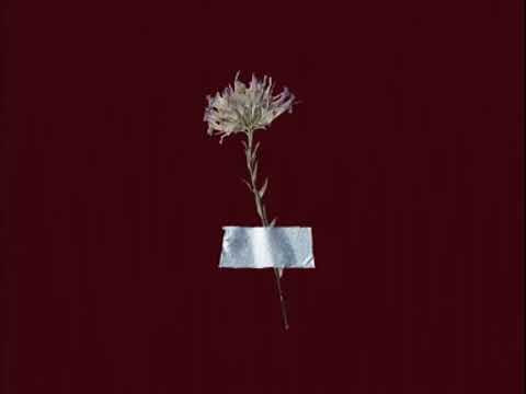 Dee, Raaman - Keeping Memories (OFFICIAL AUDIO)