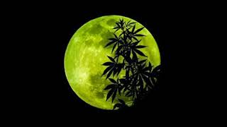 FUMO Y NO BAJO CARTEL DE SANTA