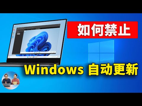 如何禁用 Windows 10 / 11 的自动更新！以防电脑系统被微软强制升级（2024） | 零度解说