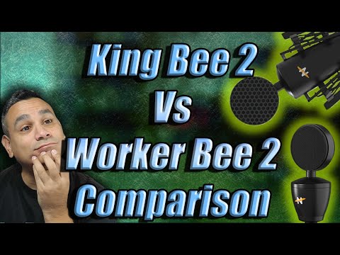 King Bee 2 mic comparison Worker Bee 2