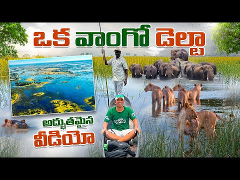 Okavango Delta Botswana Drone View