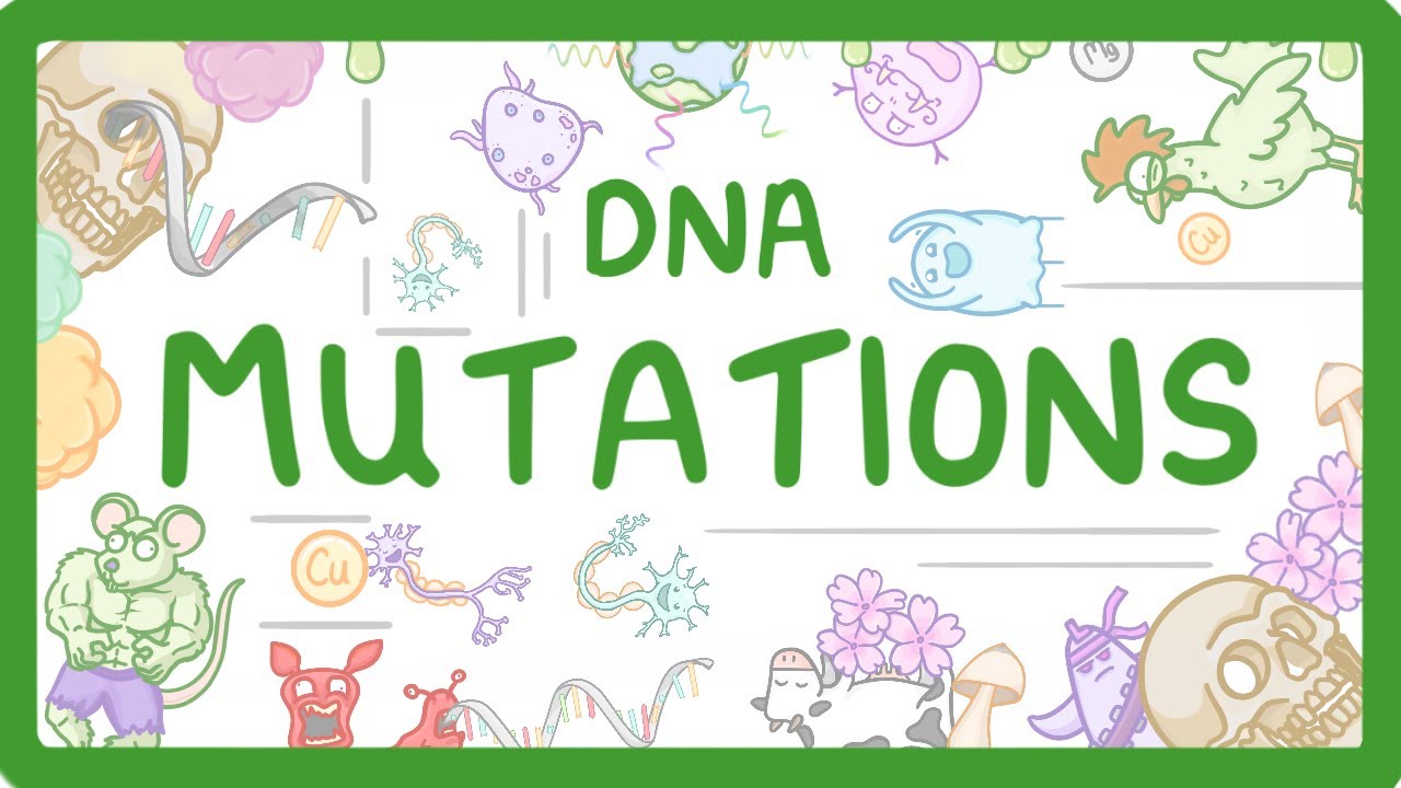 GCSE Biology - What are DNA Mutations #67