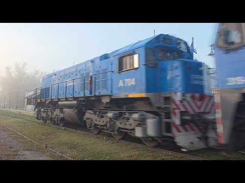 [8K] EMD J16CW/AC 319.206.9 y G-22CW A.704 con destino a Córdoba pasando por Marcos Juárez!!!!!!