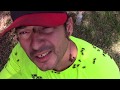 Honey Bee winter abscond swarm removal by Luis Slayton of Bee Strong Honey