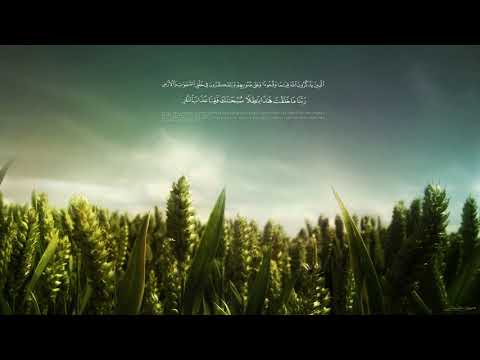 Jusuf Džafić - Hanefijski fikh (Nuru-l-idah)_2. dio - Vode i sur (ostatak nakon pijenja)