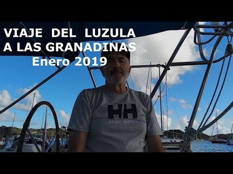 MARTINICA - GRANADINAS 2019