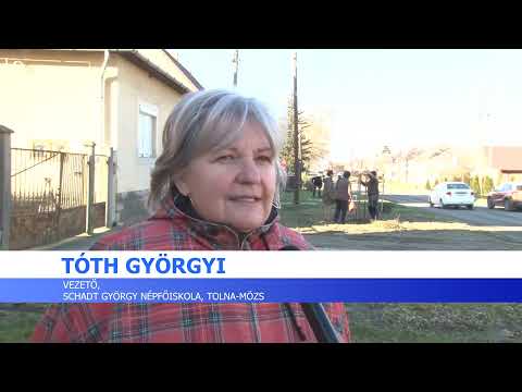 Közösségi faültetés - Tolna-Mözs