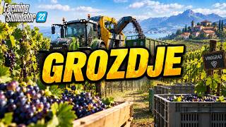 GROZDJE