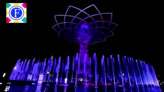 Tributo all39 Albero della Vita