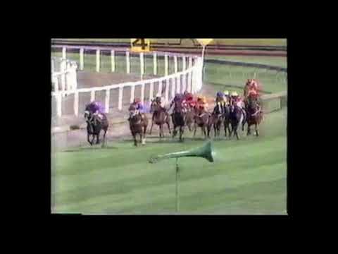 1987 George Ryder Stakes - Campaign King