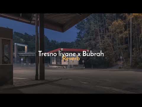 Tresno liyane x Bubrah by NorthSle official || slowedreverb • viral tiktok