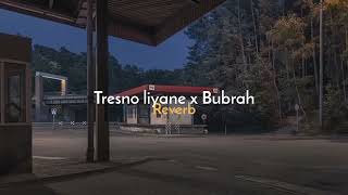 Download lagu Tresno liyane x Bubrah by NorthSle official || slowedreverb • viral tiktok mp3