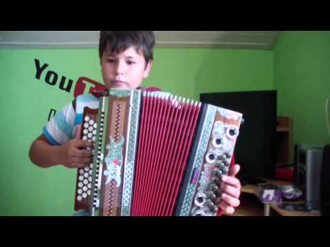 Steirische Harmonika Bass Hansei