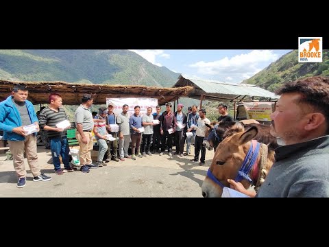 Hindi - Brooke India intervention at Himalayas- Bugyal the Pasture land ||