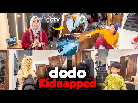 Who Kidnapped Our Kitten Dodo? 😱 CCTV Footage Se Chor Pakar Lia 💪🏻 | Rida Naqqash Extra