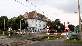 preview picture of video 'Spoorwegovergang - Halberstadt (Harz) -  Bahnübergang'