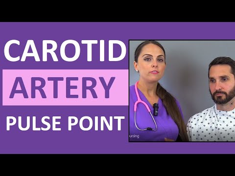 Carotid Pulse Point Examination, Palpation, & Location Nursing Skill