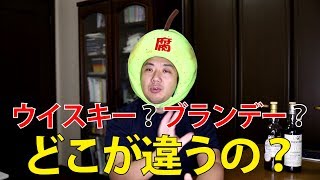 ウイスキーとブランデーの違いとは?ウイスキー初心者向け/シングルモルト通販モルトヤマ