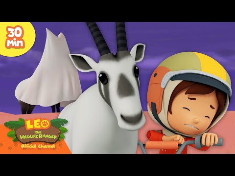 Witness21 Editor  2025 03 06