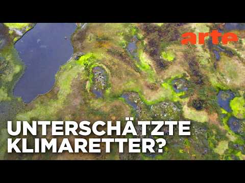 Video Thumbnail: Das Geheimnis der Moore | Doku HD Reupload | ARTE