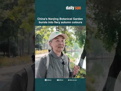 China's Nanjing Botanical Garden bursts into fiery autumn colours | Daily Sun