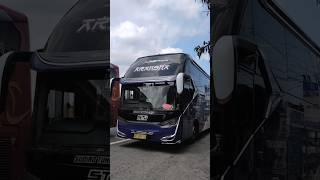 Download lagu Story'WA bus STJ ARANSHA mboiss 30 detik mp3 Download lagu Story'WA bus STJ ARANSHA mboiss 30 detik mp3