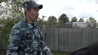 Видео