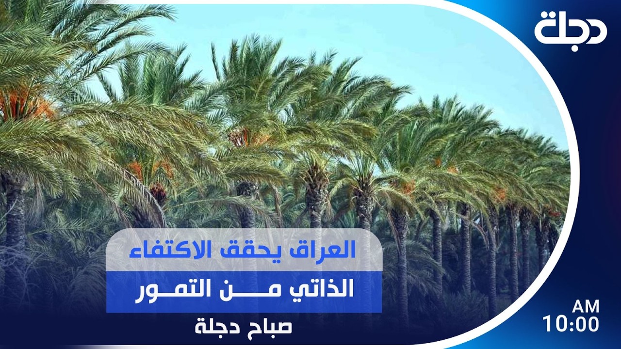 فيديو | العراق يحقق الاكتفاء الذاتي من التمور | #صباح_دجلة