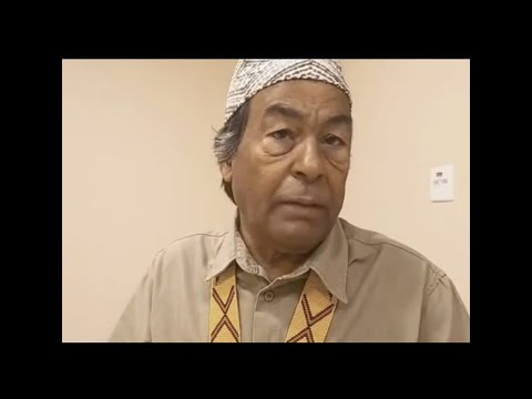 The Idea of ​​Progress - Ailton Krenak