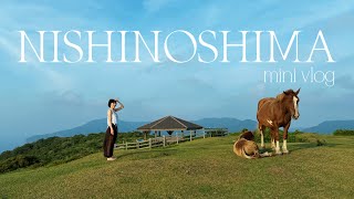 【夢の島 島根県西ノ島🐴🐃mini vlog】2026夏休み編