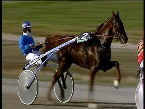 Trotto 18/01/2019 - 1ª corsa