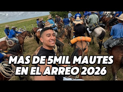 El Arreo de Ganado más Grande de Venezuela en Apure 2026. 1er Parte / 03 